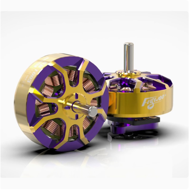 FLYWOO ROBO Motor 1-2S Purple  – Drone Rc Y Series Bewertung und Preis